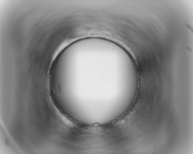 X0000093391525200710251229