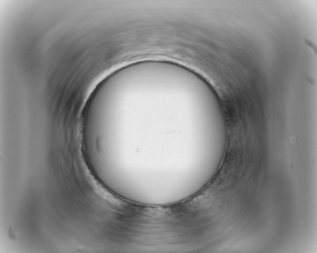 X0000093391526200710251229