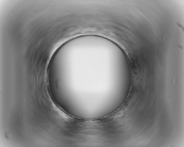 X0000093391527200710251229