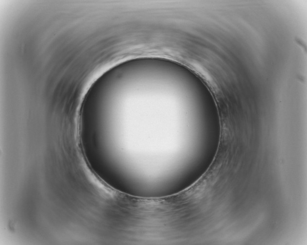 X0000093391528200710251229