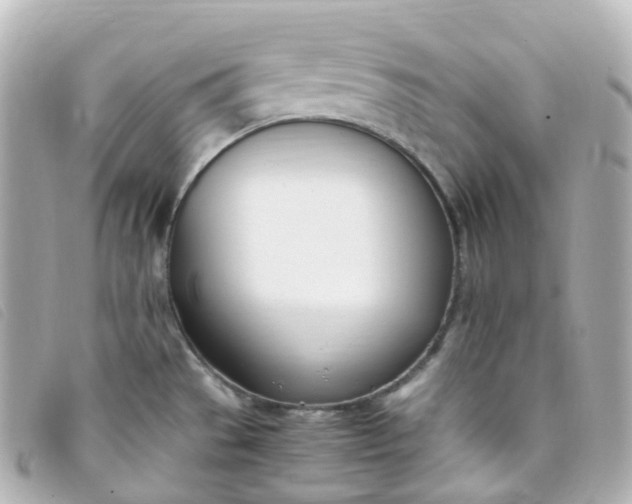 X0000093391529200710251229