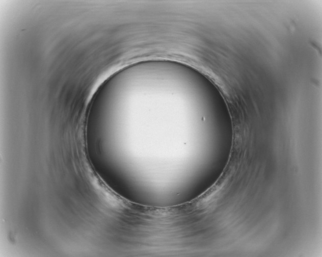 X0000093391530200710251229