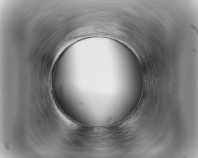 X0000093391531200710251229