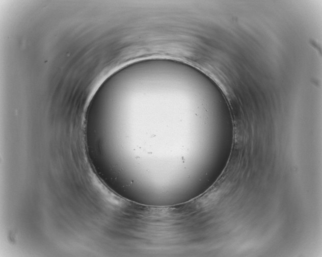 X0000093391532200710251229