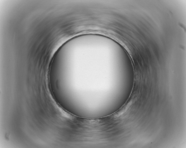 X0000093391533200710251229