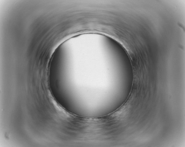 X0000093391534200710251229