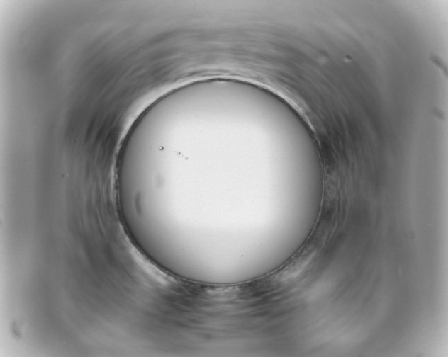 X0000093391535200710251229