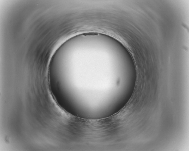 X0000093391536200710251229