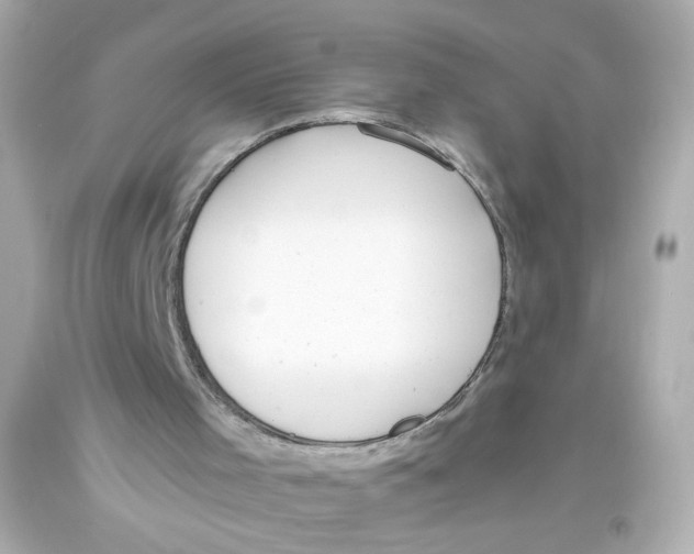 X0000093390001200711011321