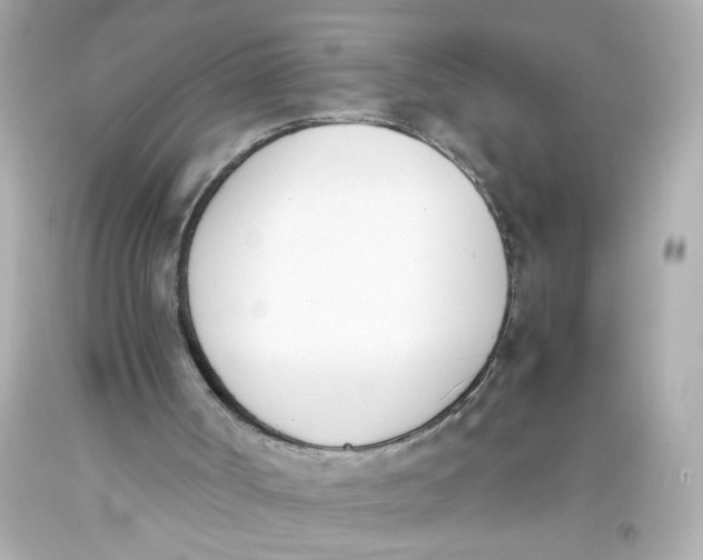 X0000093390002200711011321