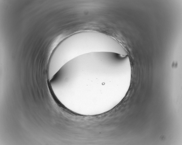 X0000093390003200711011321