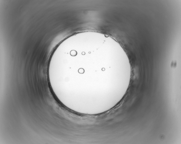 X0000093390004200711011321