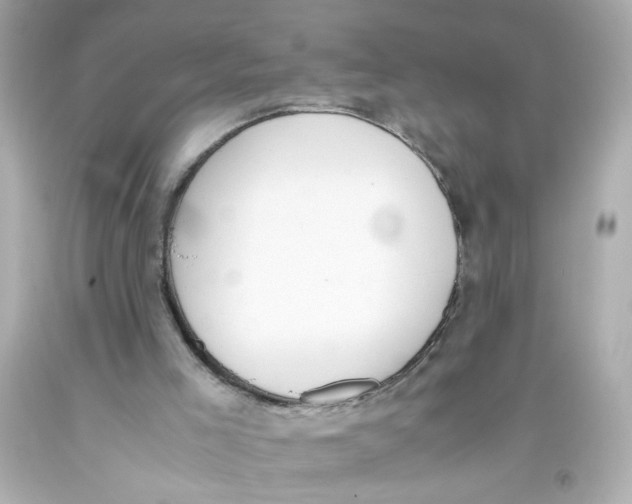 X0000093390005200711011320