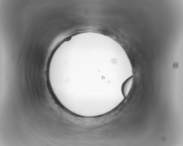 X0000093390006200711011320