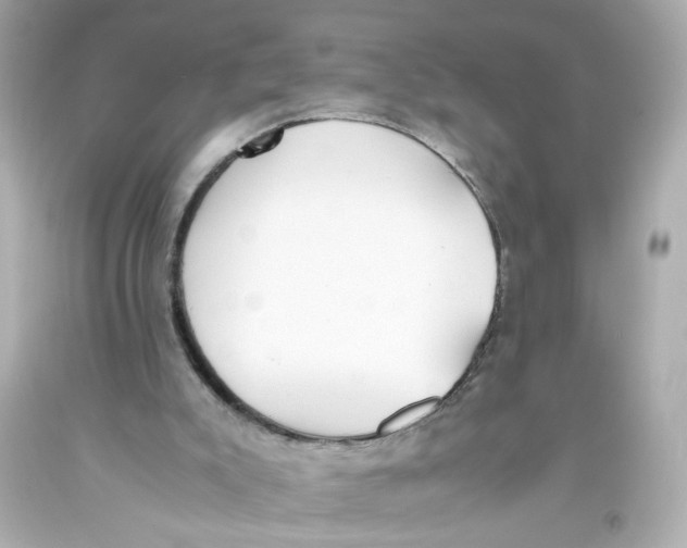 X0000093390007200711011320