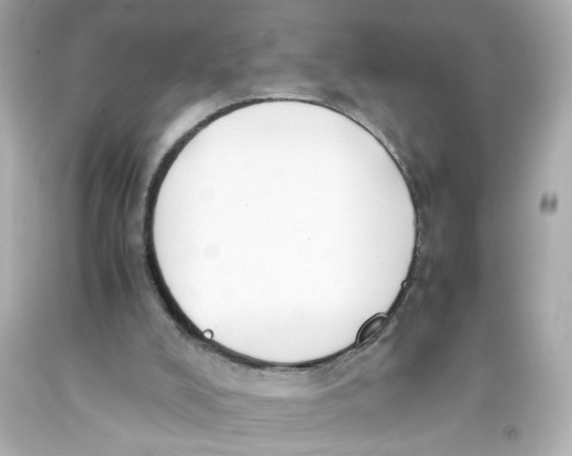 X0000093390008200711011320