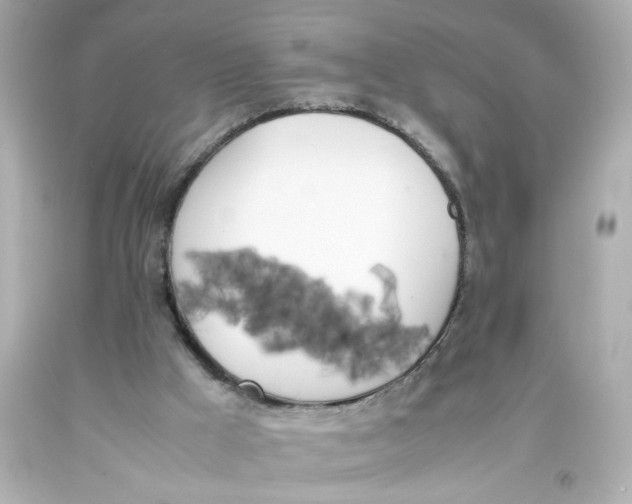 X0000093390009200711011320