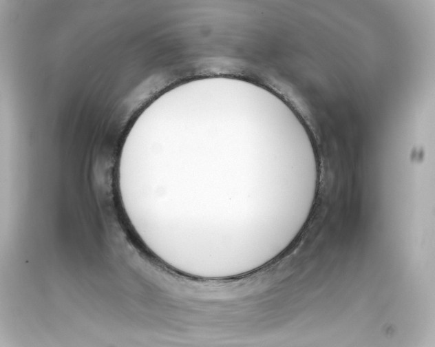 X0000093390010200711011320