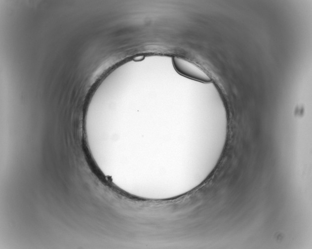 X0000093390011200711011320