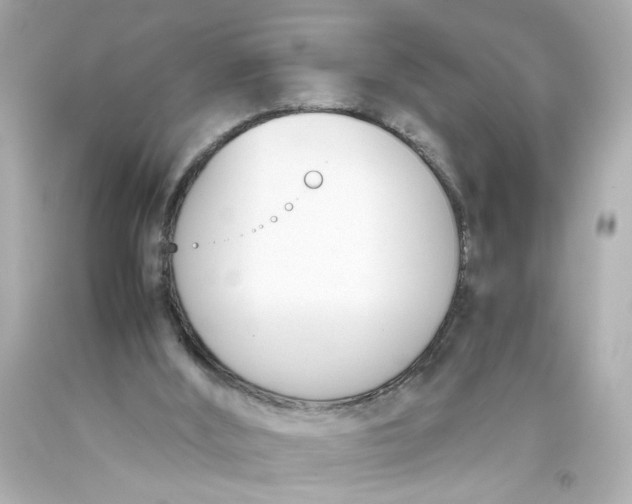 X0000093390012200711011320