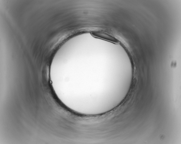 X0000093390013200711011320