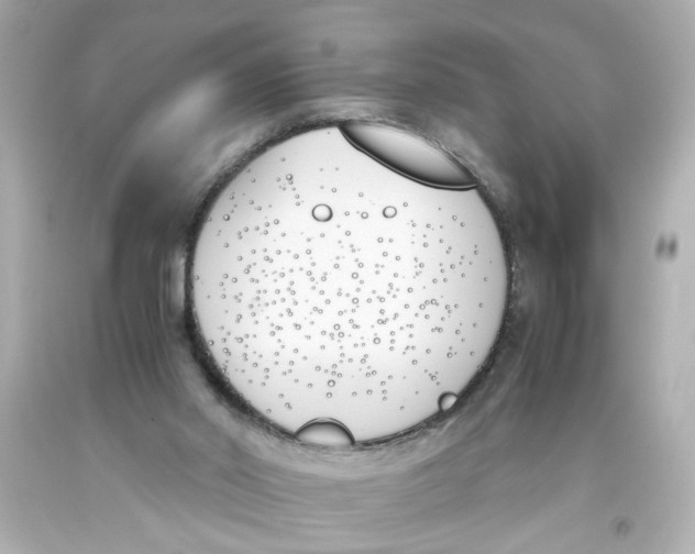 X0000093390014200711011320