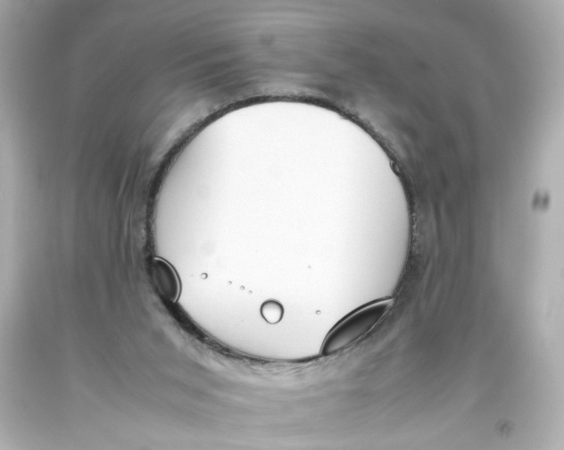 X0000093390015200711011320