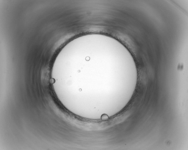 X0000093390016200711011320