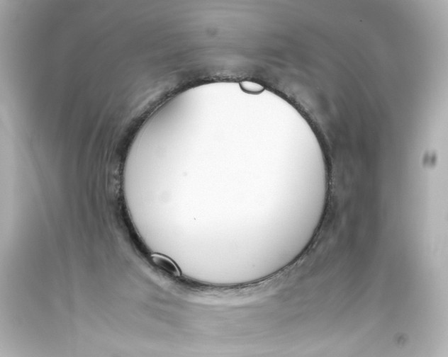 X0000093390017200711011320