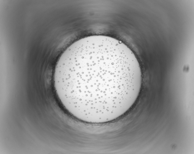 X0000093390018200711011320