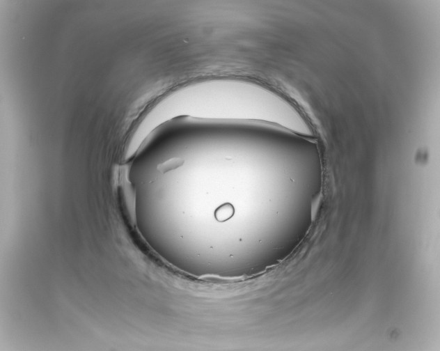 X0000093390019200711011320