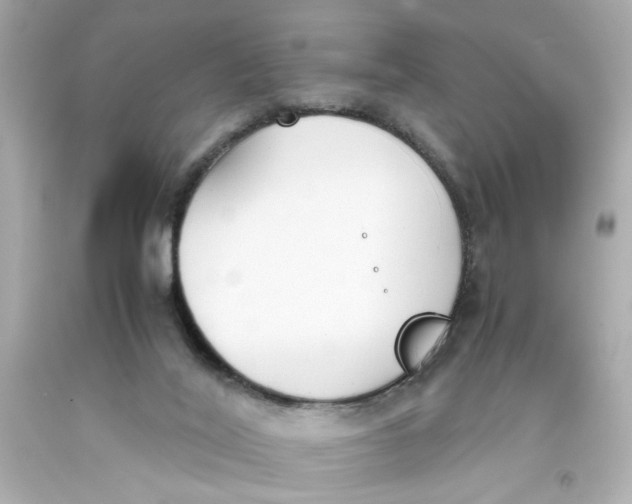 X0000093390020200711011320