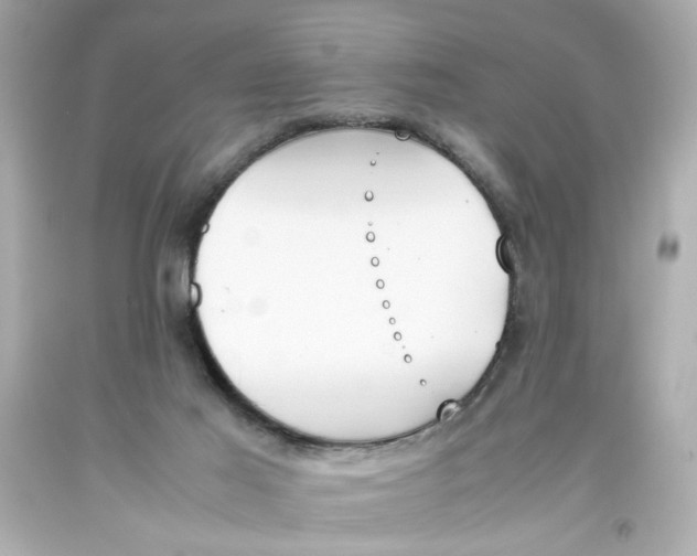 X0000093390021200711011320