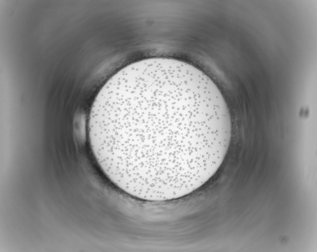 X0000093390022200711011320