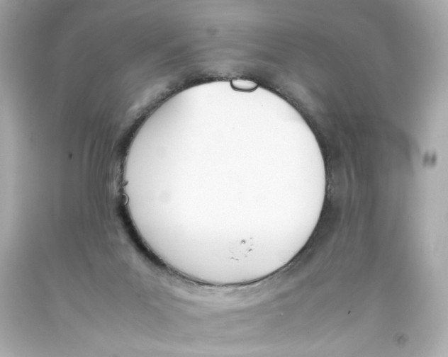 X0000093390023200711011320