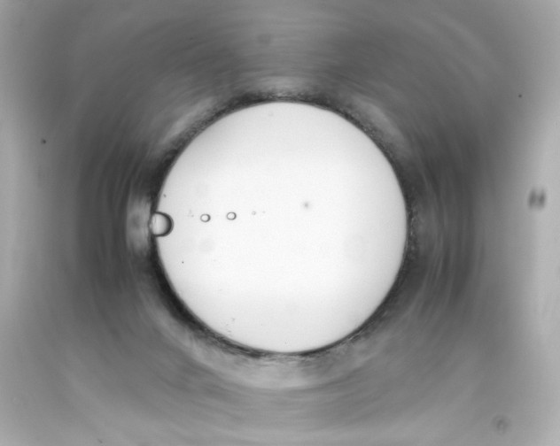 X0000093390024200711011320