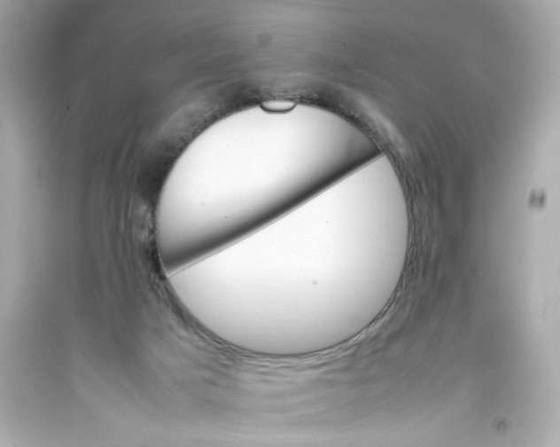 X0000093390025200711011320