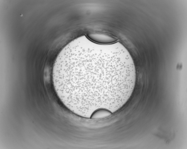 X0000093390026200711011320