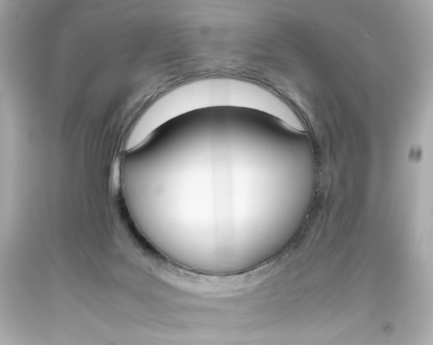 X0000093390027200711011320