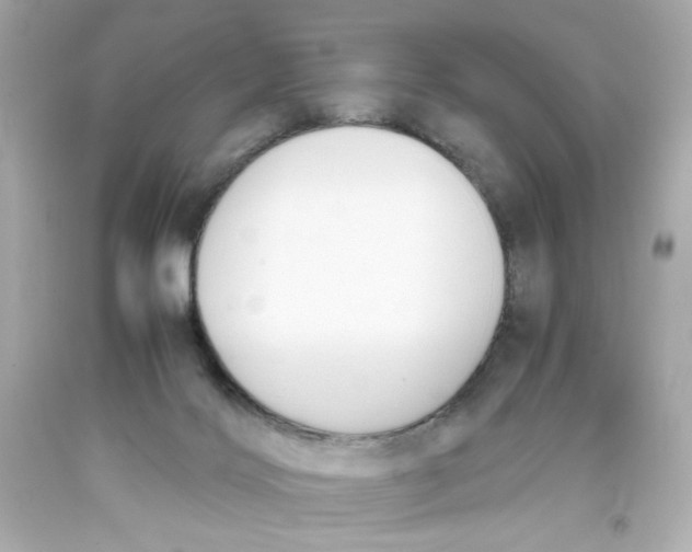 X0000093390028200711011320