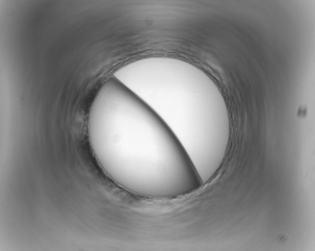 X0000093390029200711011320