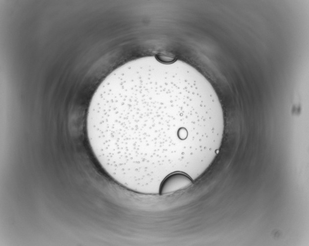 X0000093390030200711011320