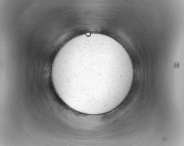 X0000093390032200711011320