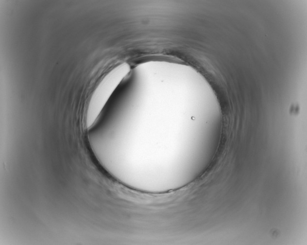 X0000093390035200711011320