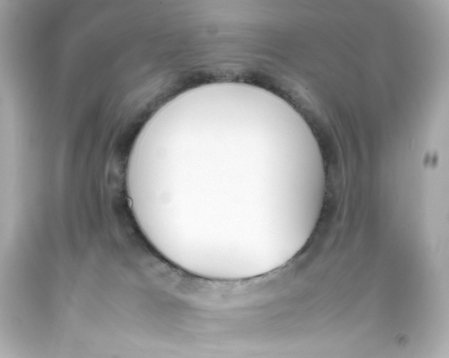 X0000093390037200711011320