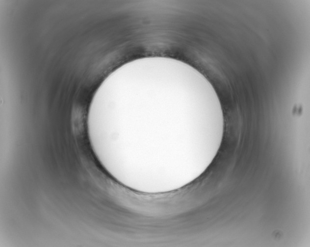 X0000093390038200711011320