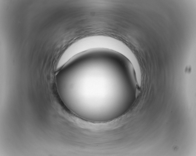 X0000093390039200711011320