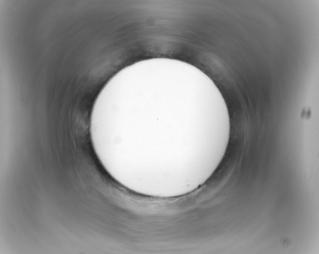 X0000093390040200711011320