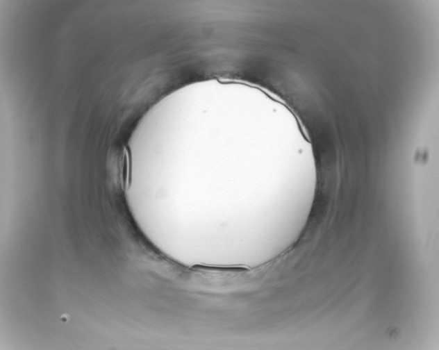 X0000093390041200711011320