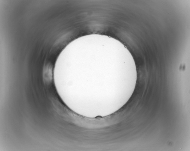 X0000093390042200711011320